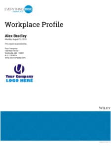 Everything Disc Workplace Profile